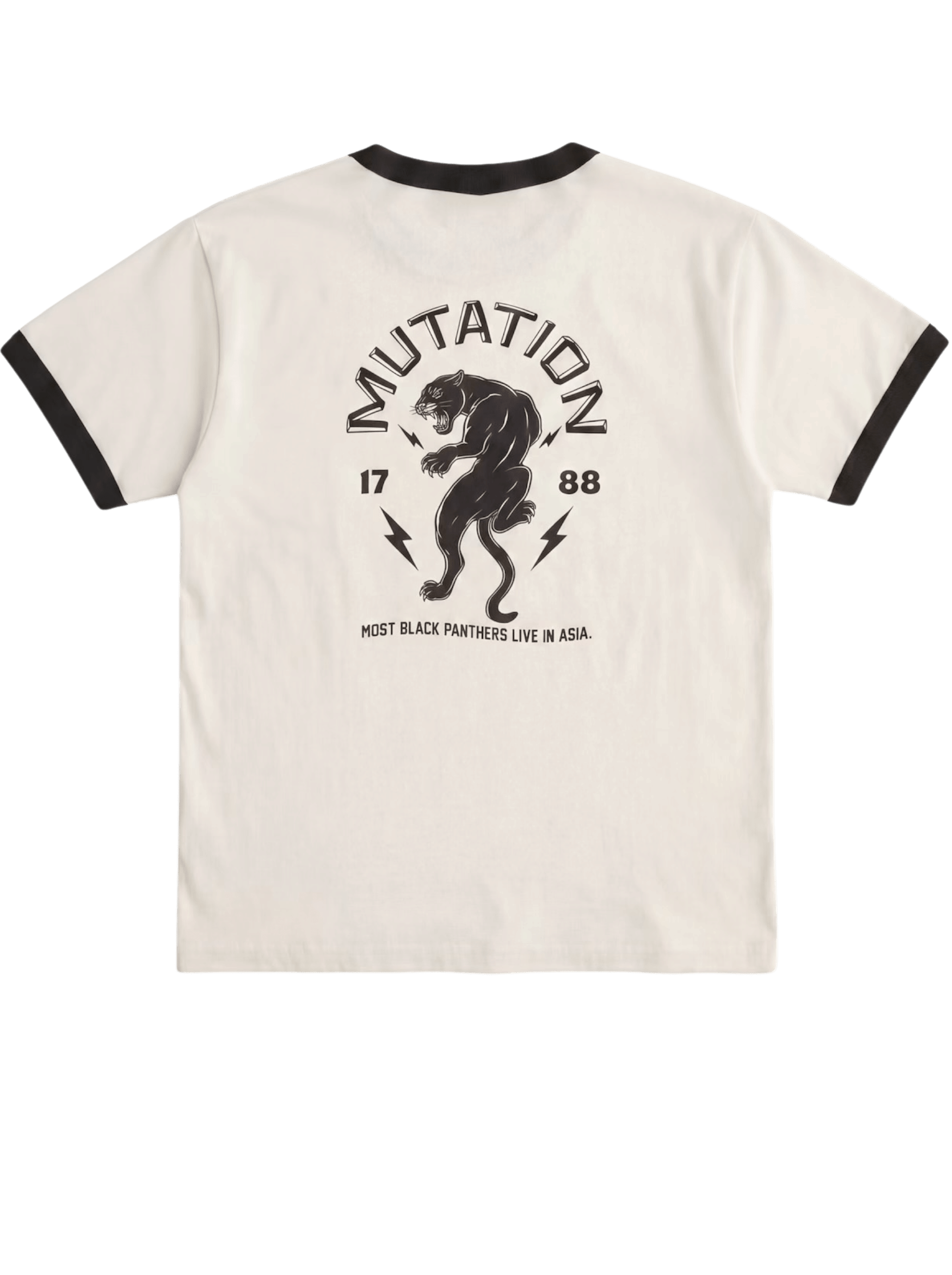 LXPL TEE BP ナチュラル 背面平置き