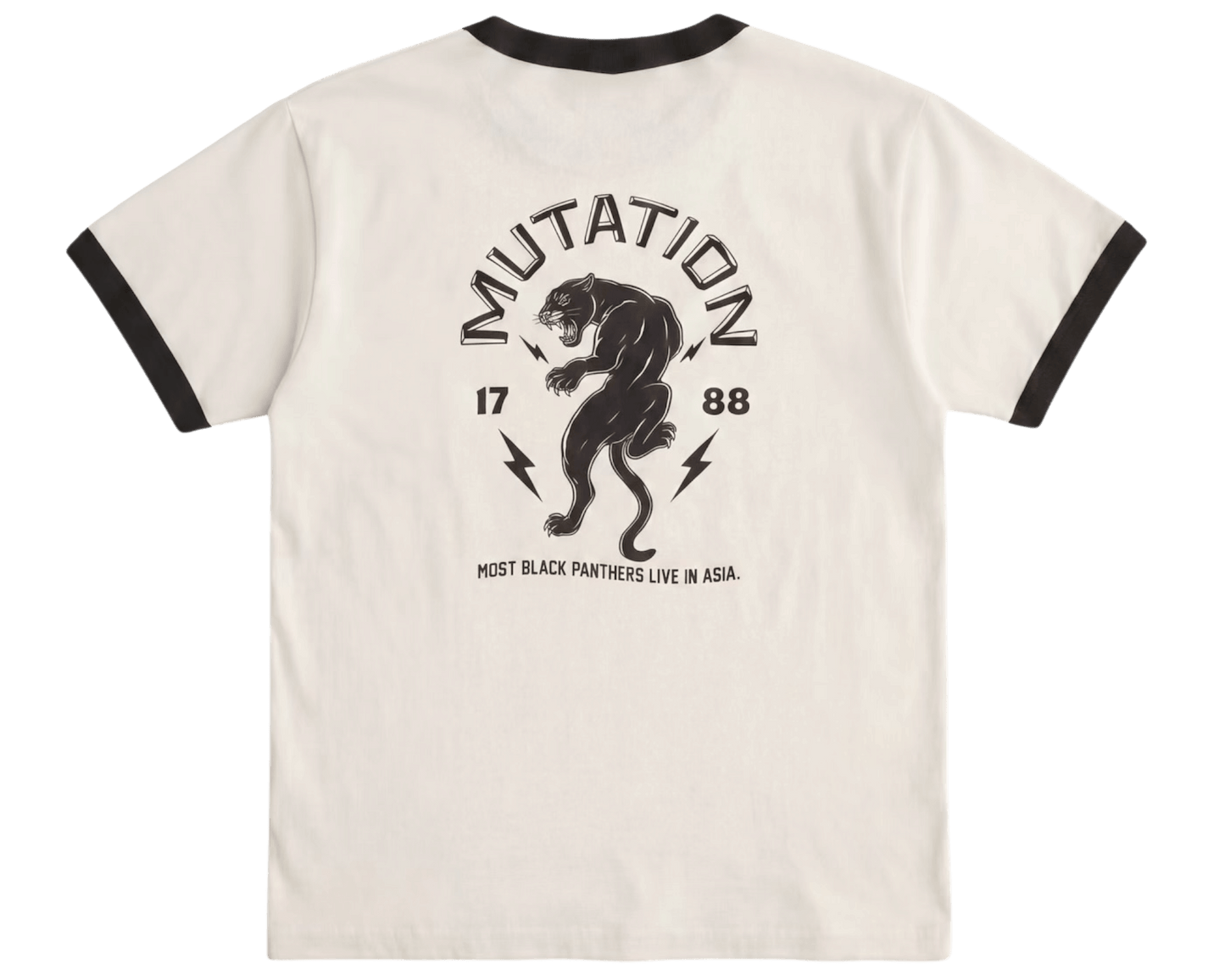 LXPL TEE BP